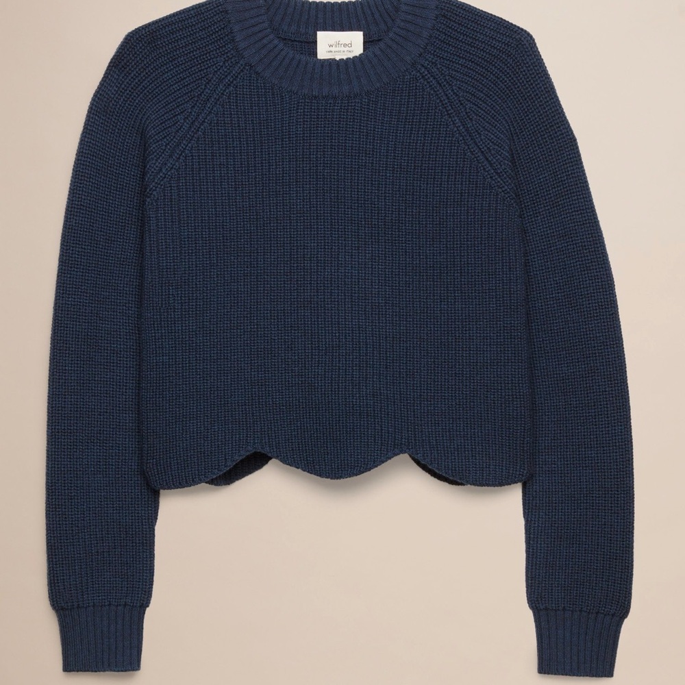 Aritzia Wilfred Sardou sweater